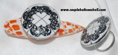 seashell ring art