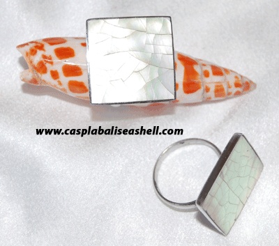 shell and seashell ring