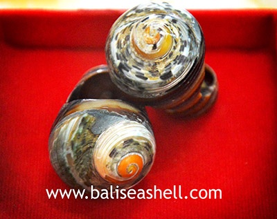 Ring Shell Jewelry from Indonesia