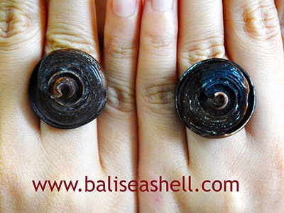 Natural seashell ring jewelry indonesia