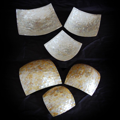 shell coconut with capis bowl