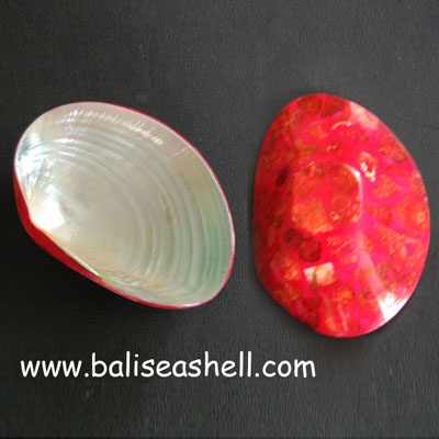 shell disc crafts art with river shell
