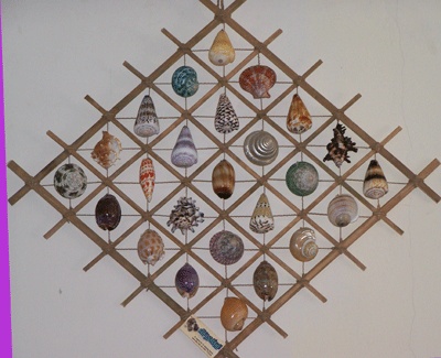 seashell curtain wall deco