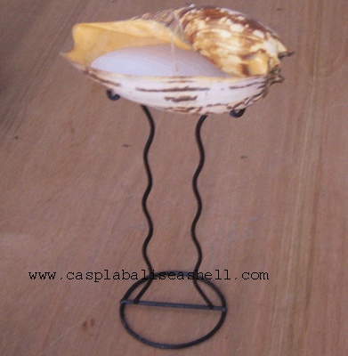 Shell lamp for table light candle