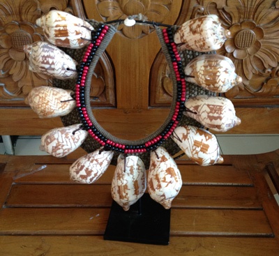 native shell cymbiola nobilis necklace