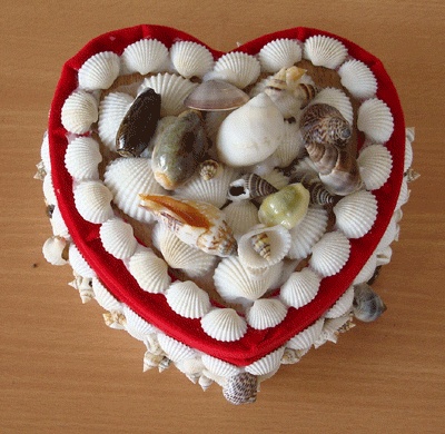 shell box kipas