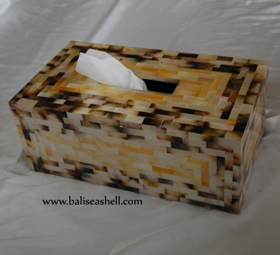 tisue paper box with mop shell