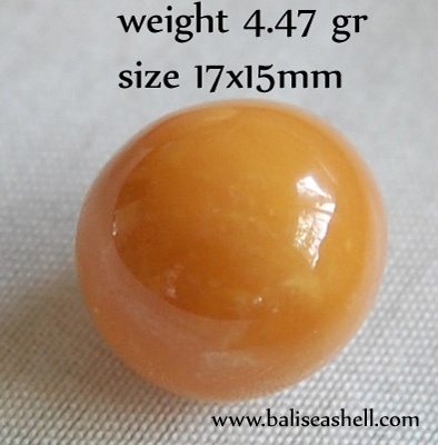 natural pearl collector from indonesia