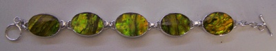 Paua Shell Breeclet With Silver