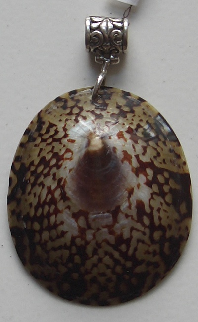 Silver Pendant With Shell Form Anatural Size