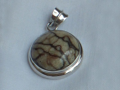 Pendant Coral Colourfull Fried Cook